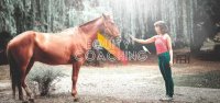 Canopia - Equity Coaching