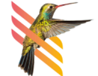 Canopia - Site Web