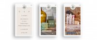 Webdesign, Développement, Wordpress MDSM 3