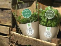 Vins et Agro-alimentaire - Domaine