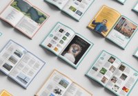 Festival de Camargue - Brochure