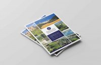 Boschi Immobilier - N°1