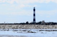 Slider Festival de Camargue