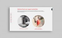 PhysioStim - Site web - Domaines